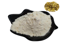 Scutellaria Baicalensis Root Extract