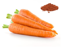 carrot EXTRACT
