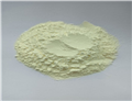 Minocycline Hydrochloride