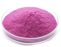 mulberry extract