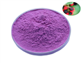 mulberry extract