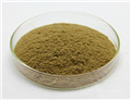 Macleaya Cordata Extract Chelerythrine