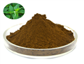 Nettle extract powder