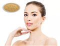 Caffeic acid powder