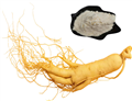 ginseng powder extract 