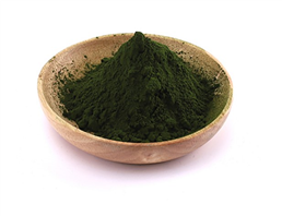 Spirulina 