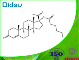 17a-Hydroxyprogesterone caproate