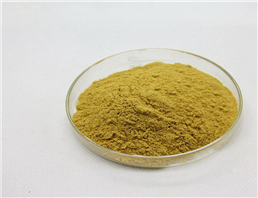 bitter gourd extract Elaterin 