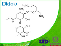 NETILMICIN