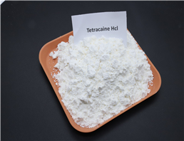 Tetracaine Hydrochloride