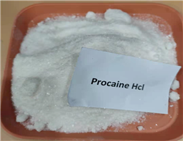 procaine hcl Procaine Hydrochloride