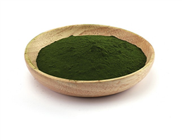 Chlorella Powder