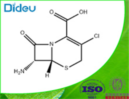 7-Amino-3-chloro cephalosporanic acid