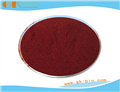 Solvent Red 24