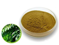 Natural Olive Leaf Extract Oleuropein 