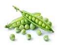 Pea peptide