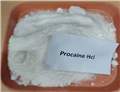 procaine hcl Procaine Hydrochloride