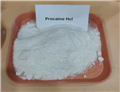 procaine hcl Procaine Hydrochloride