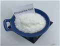 procaine hcl Procaine Hydrochloride