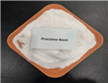 procaine 