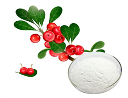 Arbutin powder 497-76-7