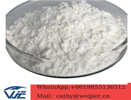 Dimethocaine Hydrochloride