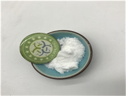 2'-Methylacetoacetanilide