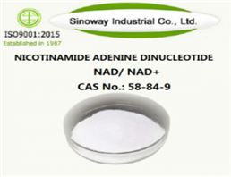 Nicotinamide Adenine Dinucleotide powder ；NAD