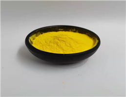 Amphotericin B