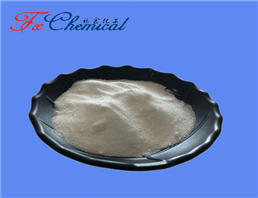 Hydroxypropyl methylcellulose phthalate