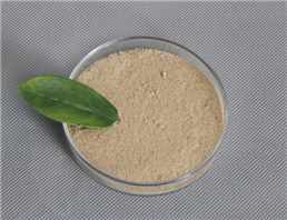 N-Boc-3-pyrrolidinone