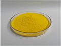 Amphotericin B