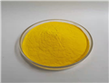 Amphotericin B
