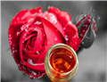 Rose?hip?oil