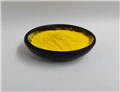 Amphotericin B