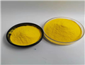 Amphotericin B