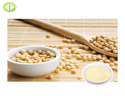 soy extract
