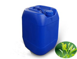green tea extract liquid
