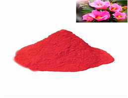 hibiscus powder