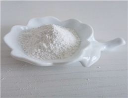 GS-441524;GS 441524 triphosphate