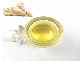 ginger Extract Root Liquid