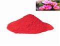 hibiscus powder