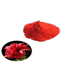 hibiscus powder