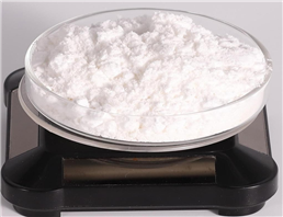 methylamine hydrochloride 