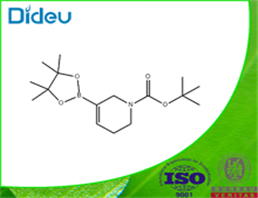 TERT-BUTYL 5-(4,4,5,5-TETRAMETHYL-1,3,2-DIOXABOROLAN-2-YL)-3,6-DIHYDROPYRIDINE-1(2H)-CARBOXYLATE 