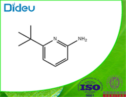 2-Pyridinamine,6-(1,1-dimethylethyl)-(9CI)