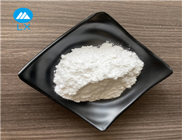 CARBOXYMETHYLCELLULOSE SODIUM SALT