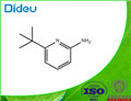 2-Pyridinamine,6-(1,1-dimethylethyl)-(9CI)