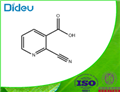 2-CYANOPYRIDINE-3-CARBOXYLIC ACID