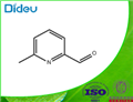 6-Methyl-2-pyridinecarboxaldehyde 